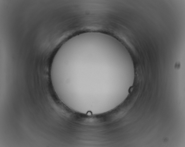 X0000093520212200710121135