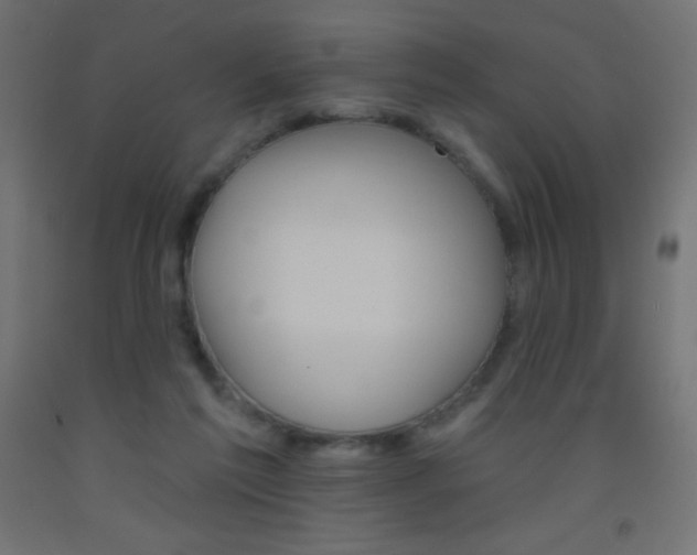 X0000093520213200710121135