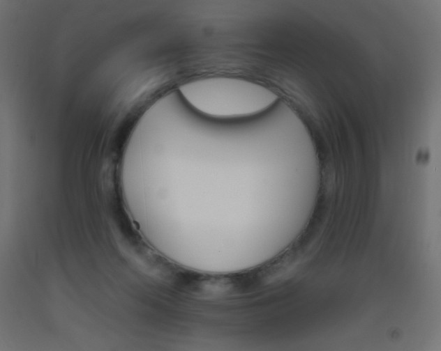 X0000093520214200710121135