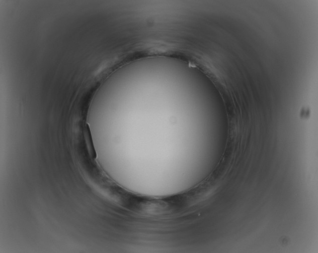 X0000093520215200710121135