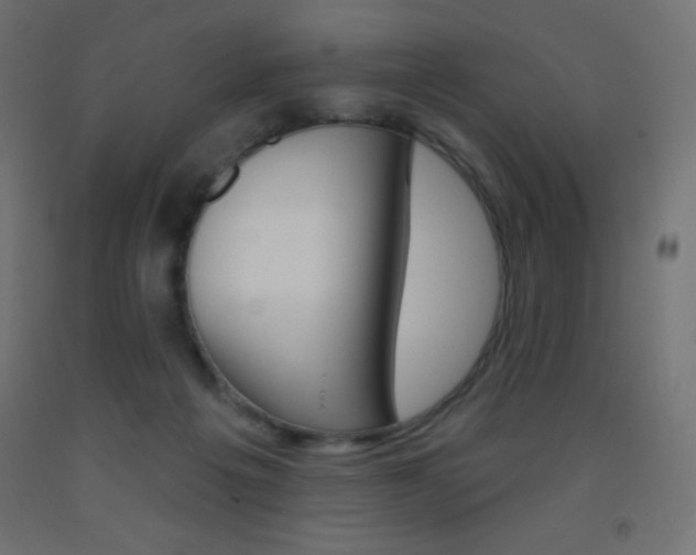 X0000093520217200710121135