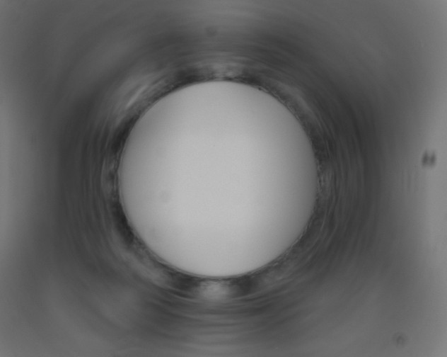X0000093520218200710121135