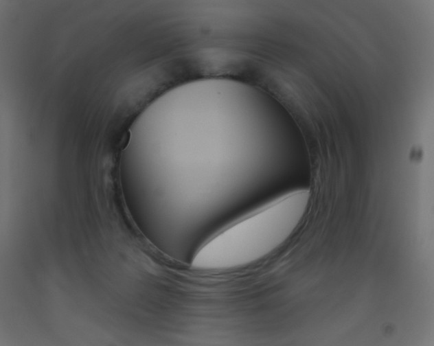 X0000093520219200710121135