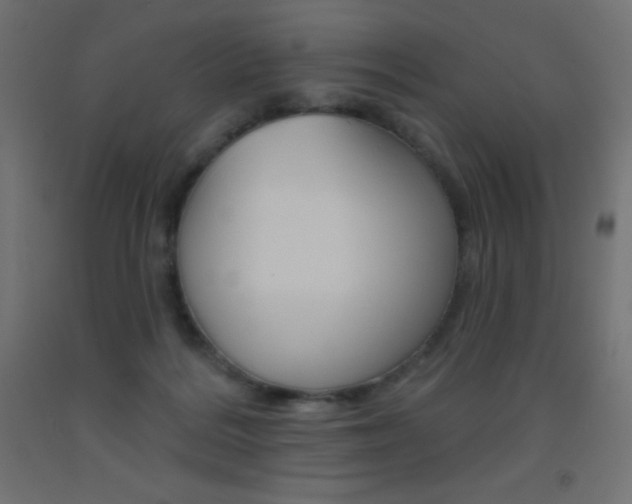 X0000093520220200710121135