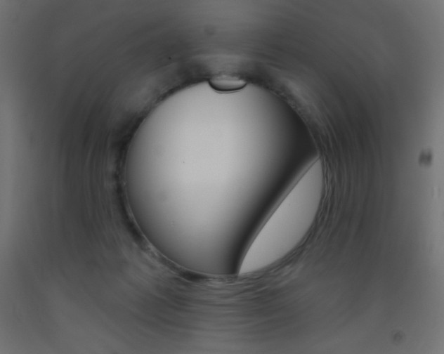 X0000093520221200710121135