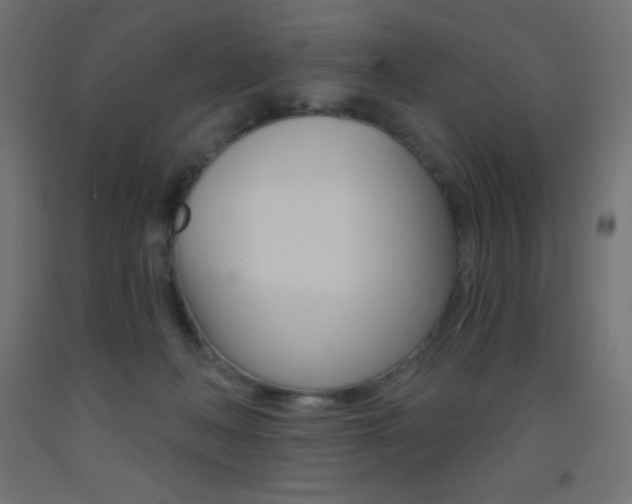 X0000093520222200710121135