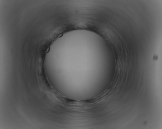 X0000093520223200710121135