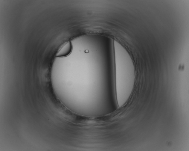 X0000093520224200710121135