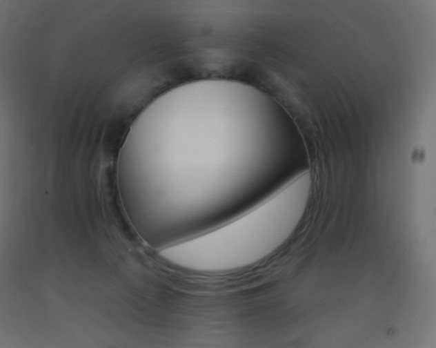 X0000093520225200710121135