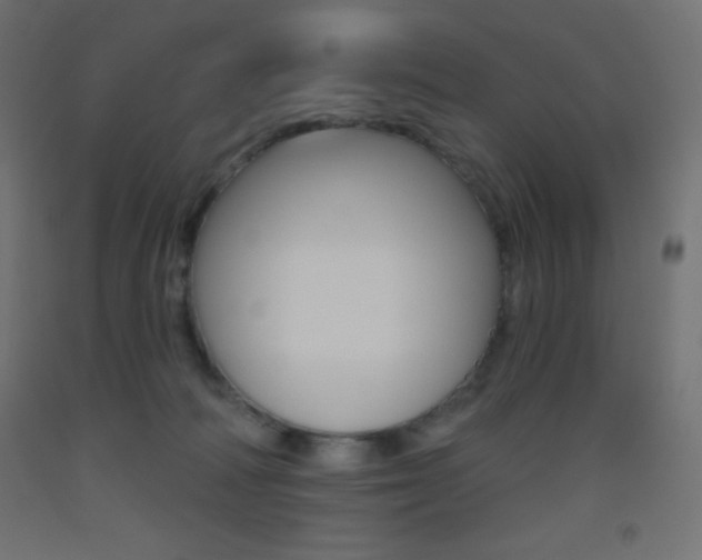 X0000093520226200710121135