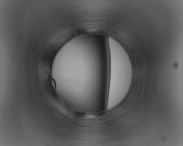 X0000093520227200710121135