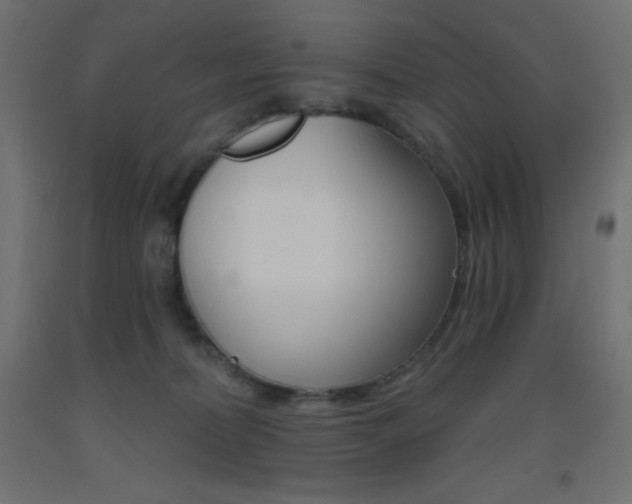 X0000093520228200710121135