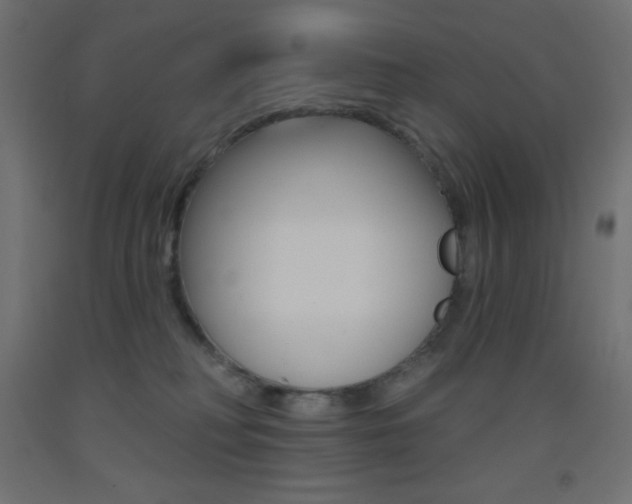 X0000093520230200710121135