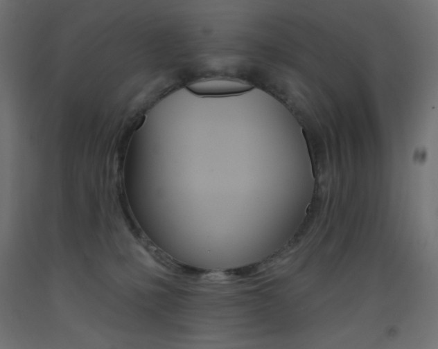 X0000093520231200710121135