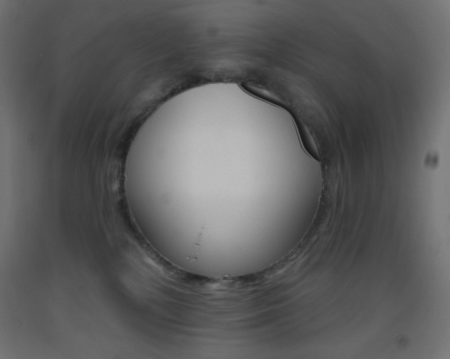 X0000093520232200710121135