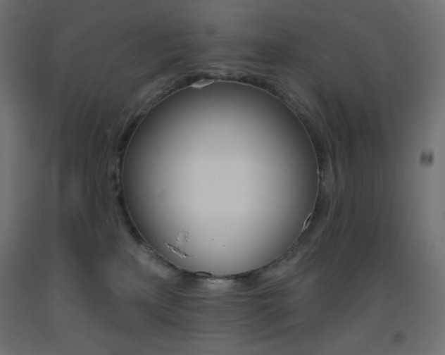 X0000093520233200710121135