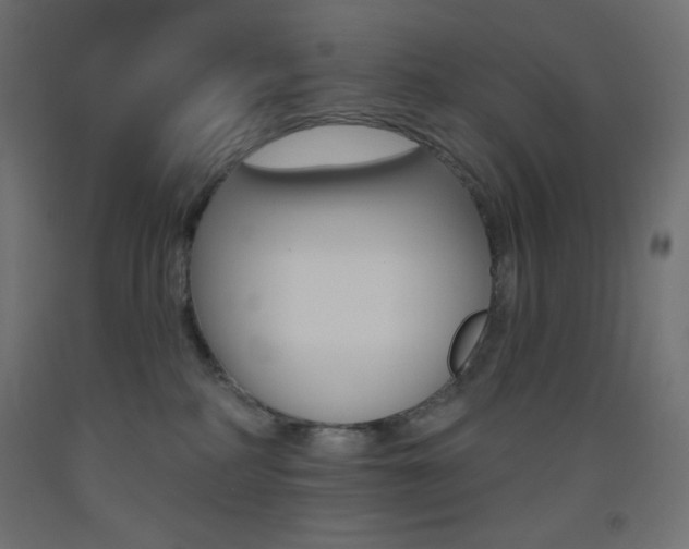 X0000093520234200710121135