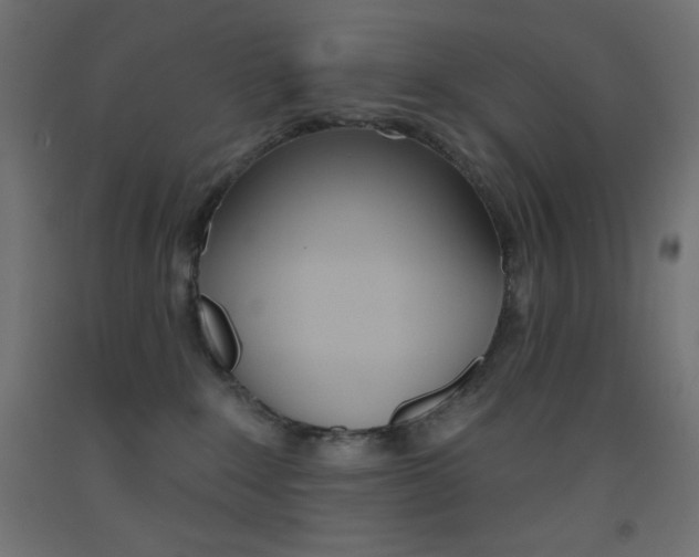 X0000093520235200710121135