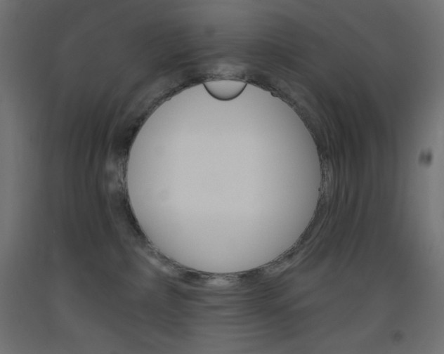 X0000093520236200710121135