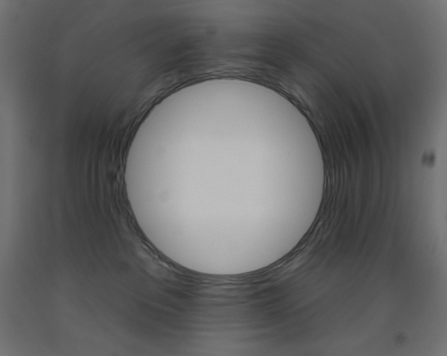 X0000093520237200710121135