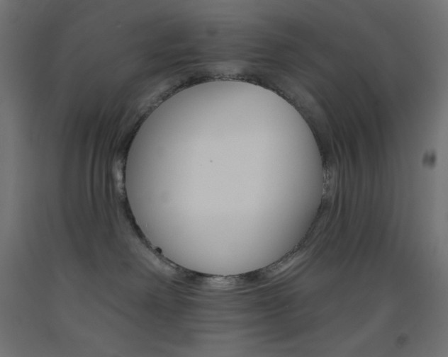 X0000093520238200710121135