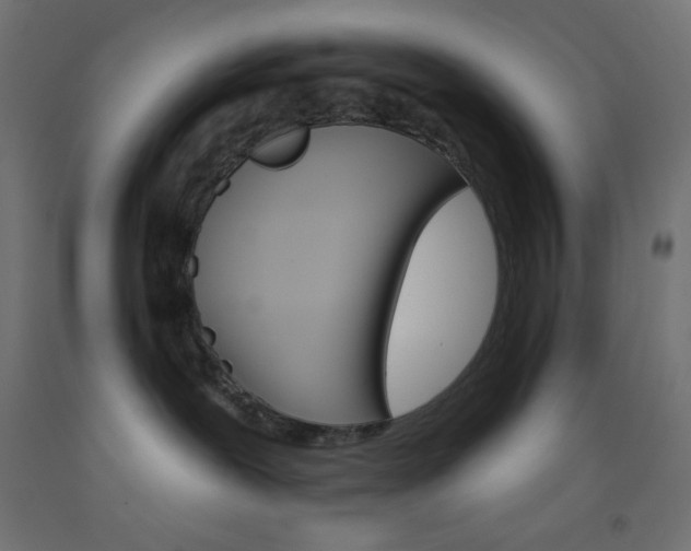 X0000093520239200710121135