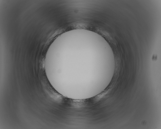 X0000093520240200710121134