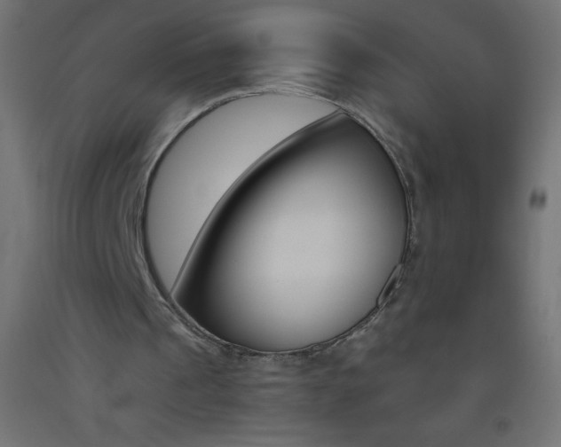 X0000093520241200710121134