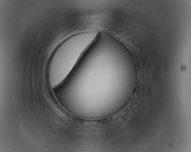 X0000093520242200710121134
