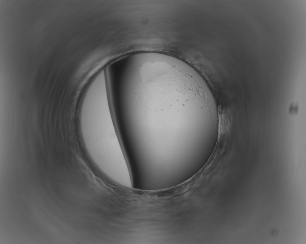 X0000093520243200710121134