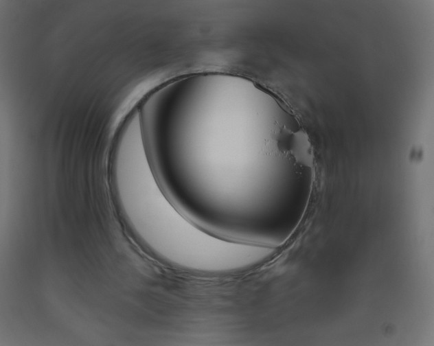 X0000093520244200710121134