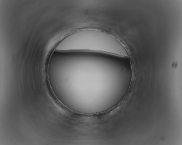 X0000093520245200710121134