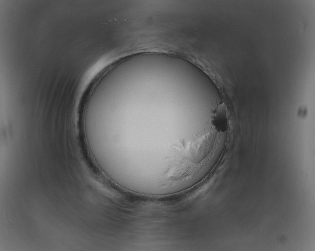 X0000093520246200710121134