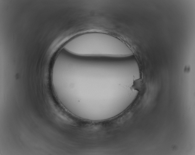 X0000093520247200710121134