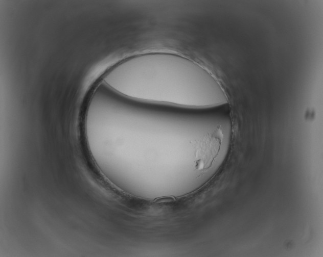 X0000093520248200710121134