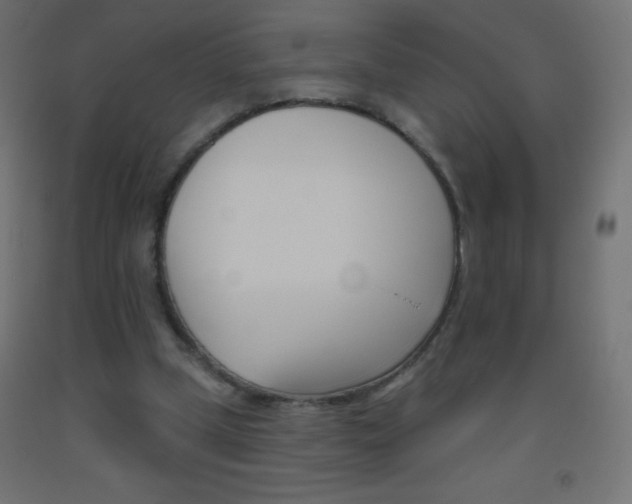 X0000093520249200710121134