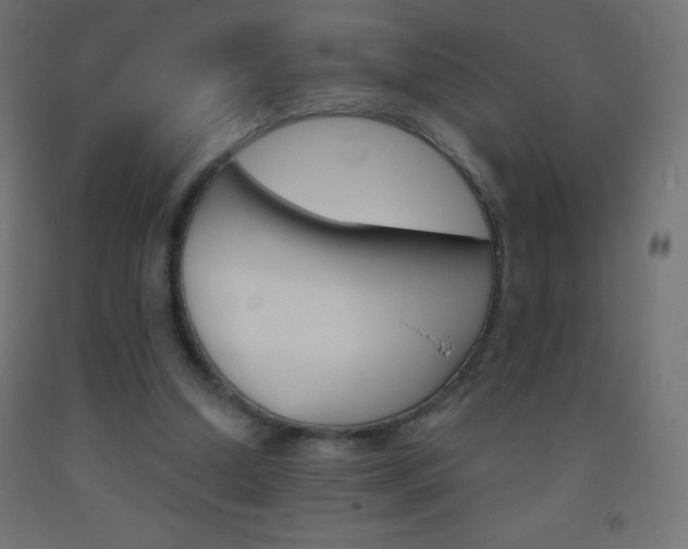 X0000093520250200710121134