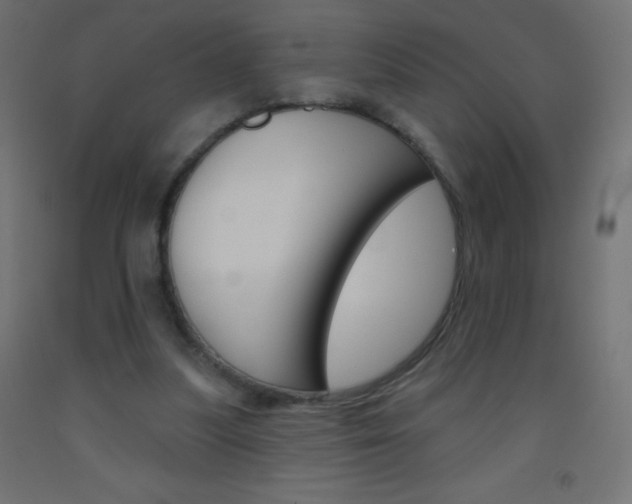 X0000093520251200710121134
