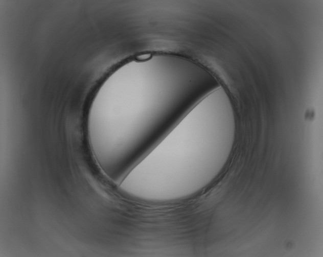 X0000093520252200710121134