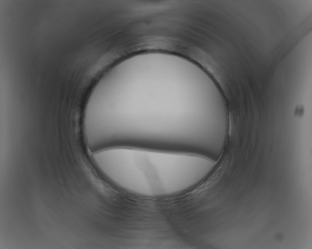 X0000093520253200710121134