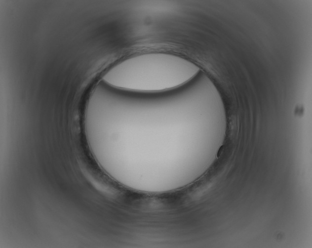 X0000093520254200710121134