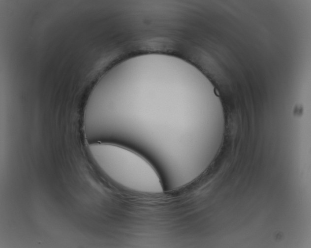 X0000093520255200710121134