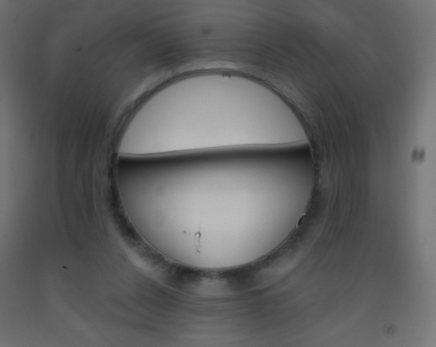 X0000093520256200710121134