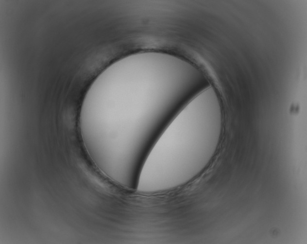 X0000093520257200710121134