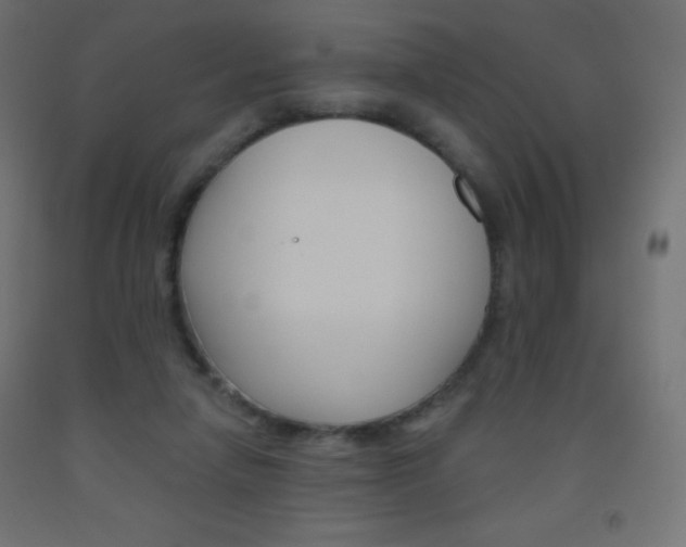 X0000093520258200710121134