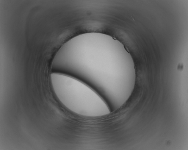 X0000093520259200710121134