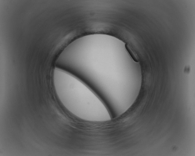 X0000093520260200710121134