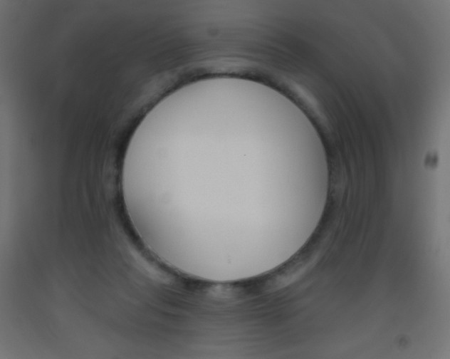 X0000093520261200710121134