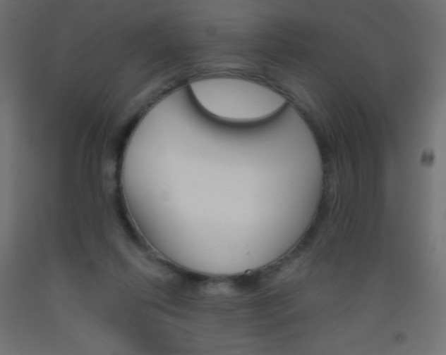 X0000093520262200710121134