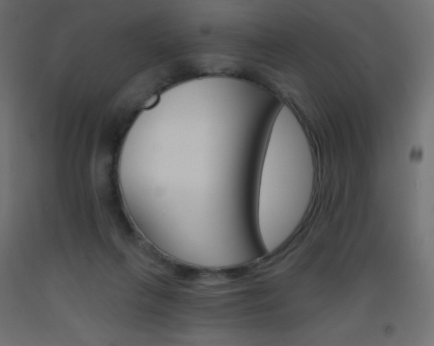X0000093520263200710121134